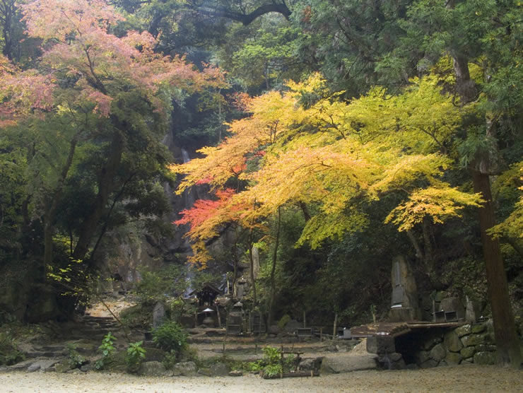 四季の彩りを望む桃尾の滝