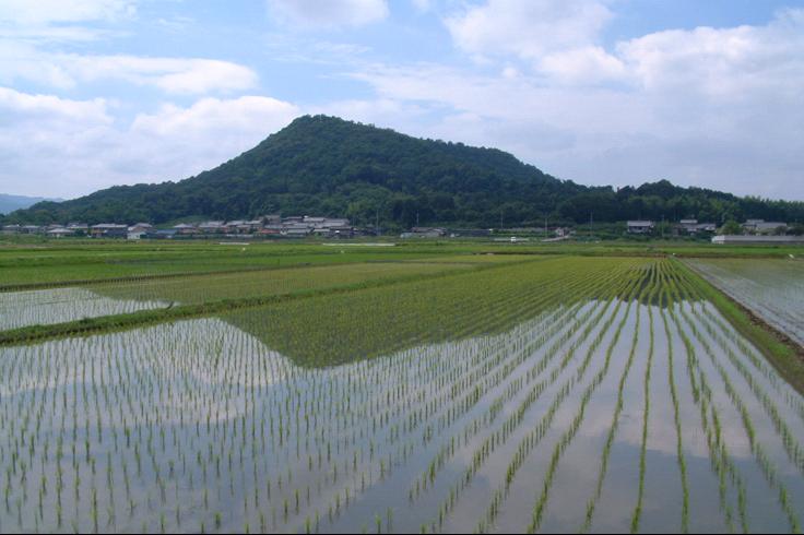 畝傍山を眺望できる大和高田バイパス