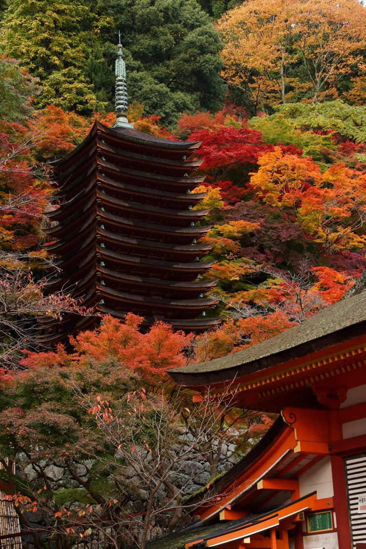 十三重塔を望む談山神社境内