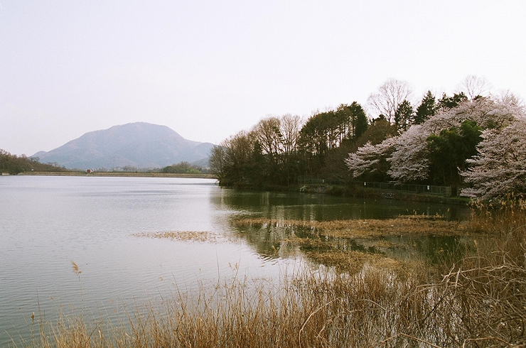 二上山を眺望できる旗尾池湖畔