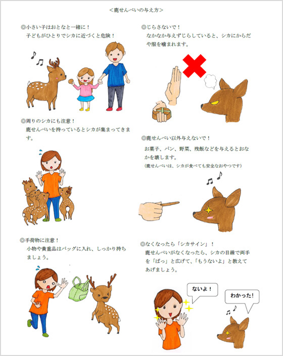 鹿せんべいの与え方チラシ