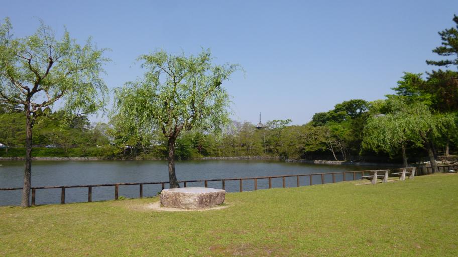 荒池園地