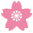 桜がおすすめ
