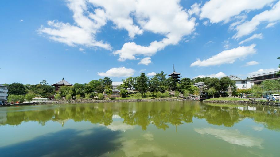 猿沢池園地